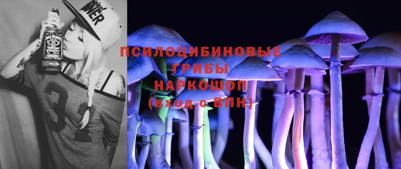 Галлюциногенные грибы Cubensis  Минусинск 