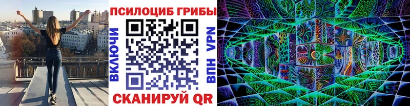 Псилоцибиновые грибы мицелий даркнет сайт Минусинск