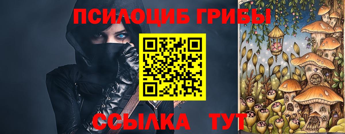 Псилоцибиновые грибы Psilocybe  Вход с VPN  Минусинск 