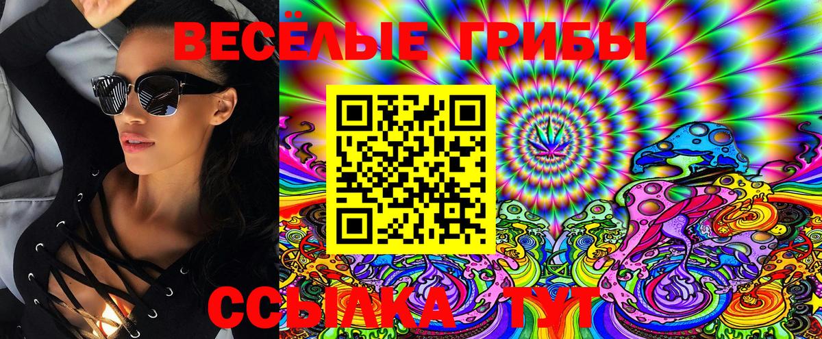 Псилоцибиновые грибы MAGIC MUSHROOMS Минусинск